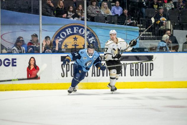 Norfolk Admirals' Gueorgui Feduolov and Wheeling Nailers' Chris Ortiz in action
