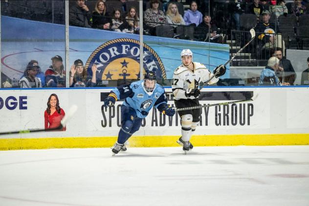 Norfolk Admirals' Gueorgui Feduolov and Wheeling Nailers' Chris Ortiz in action