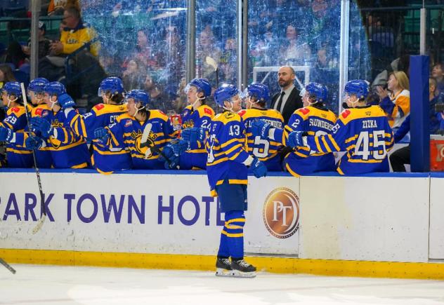 Saskatoon Blades celebrate win