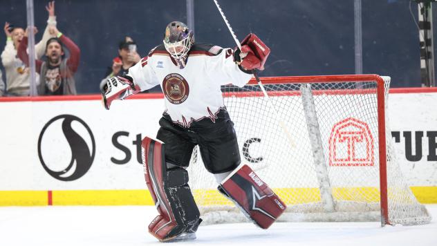 Tucson Roadrunners' Tyler Parks