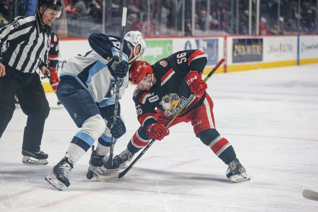 Grand Rapids Griffins center Danny O'Regan (right) faces off with the Milwaukee Admirals