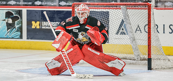 Grand Rapids Griffins goaltender Alex Nedeljkovic