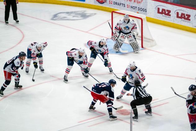 Springfield Thunderbirds battle the Hartford Wolf Pack