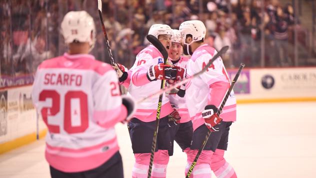 South Carolina Stingrays celebrate win