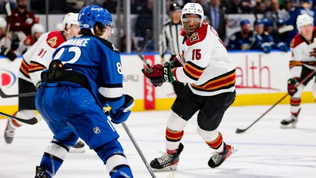 Tucson Roadrunners' Bokondji Imama in action