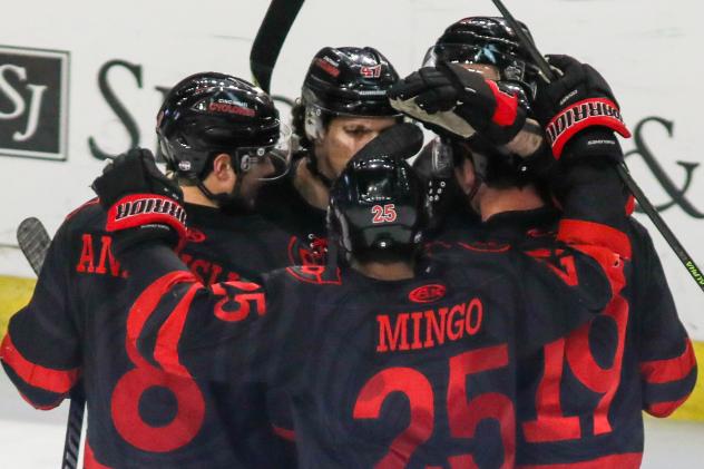 Cincinnati Cyclones celebrate a goal