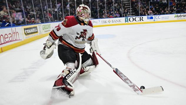 Tucson Roadrunners goaltender David Tendeck