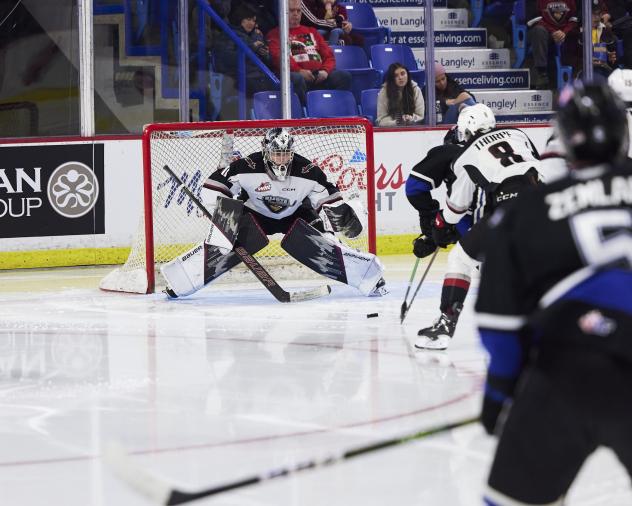 Vancouver Giants goaltender Jesper Vikman