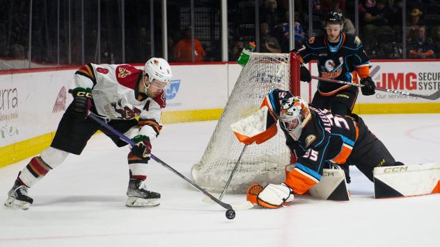 Tucson Roadrunners' Mike Carcone battles San Diego Gulls' Gage Alexander