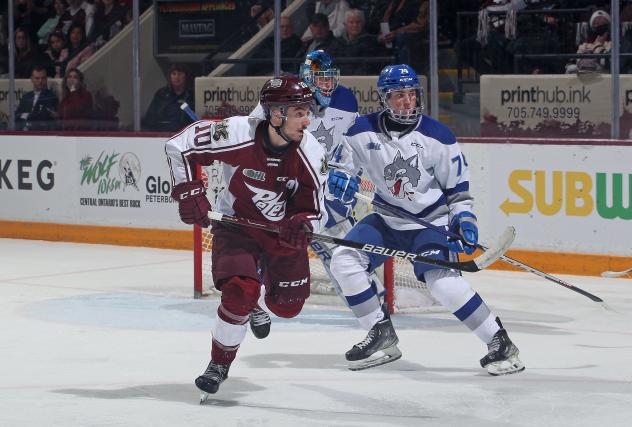 Peterborough Petes' J.R. Avon and Sudbury Wolves' Nathan Twohey in action