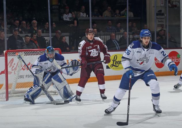 Peterborough Petes' Tucker Robertson and Sudbury Wolves' Dylan Robinson