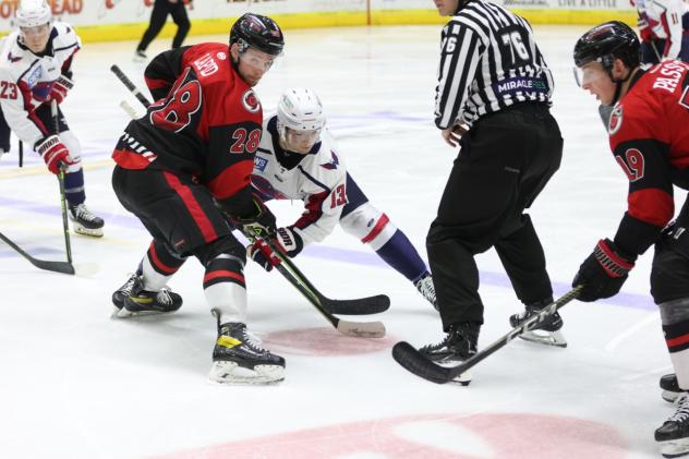 Cincinnati Cyclones' Lee Lapid battles South Carolina Stingrays' Ryan Leibold