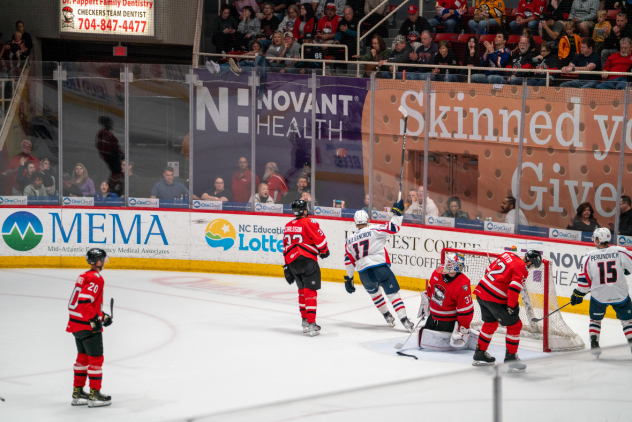 Nikita Alexandrov of the Springfield Thunderbirds (17) celebrates a goal against the Charlotte Checkers