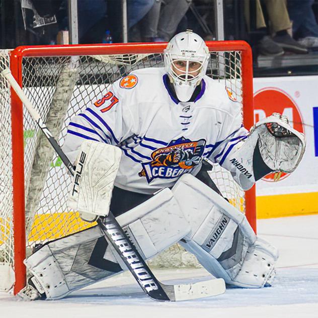 Knoxville Ice Bears' Kristian Stead