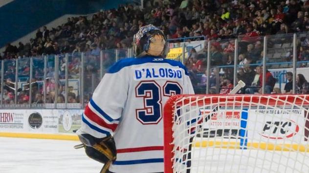 Mississippi Sea Wolves' Anthony D'Aloisio