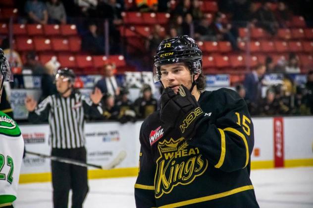 Utah Grizzlies' new forward, Nolan Ritchie