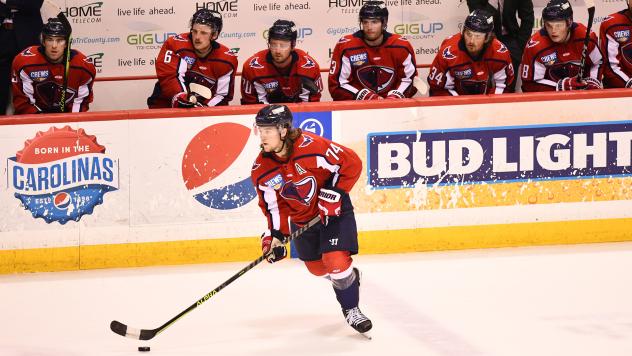 South Carolina Stingrays' Connor Moore on game night