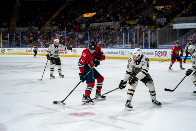 Springfield Thunderbirds' Adam Gaudette versus Hershey Bears' Vincent Iorio