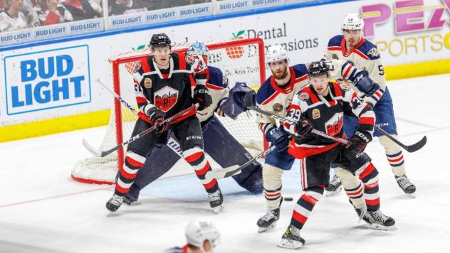 Rockford IceHogs battle the Milwaukee Admirals
