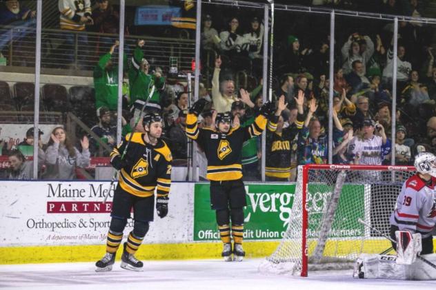 Maine Mariners react after a goal