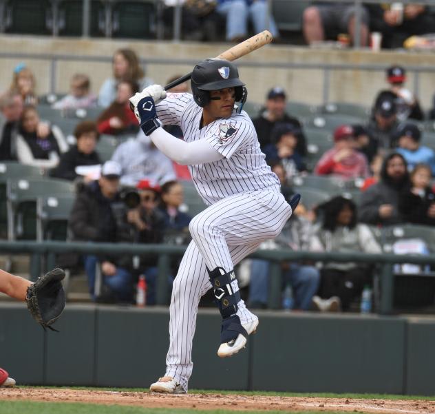 Somerset Patriots' Carlos Narvaez at bat