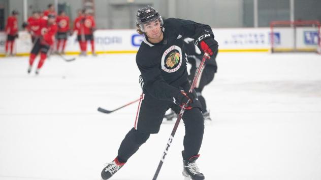 Forward Gavin Hayes