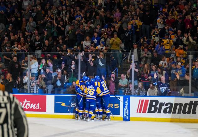 Saskatoon Blades celebration