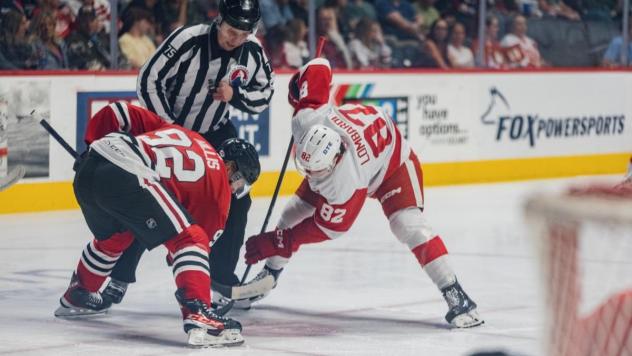Rockford IceHogs' Cam Hillis versus Grand Rapids Griffins' Amadeus Lombardi