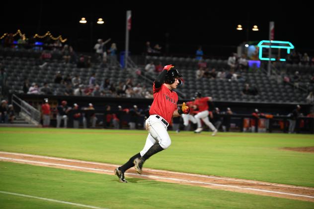 Fayetteville Woodpeckers on game night