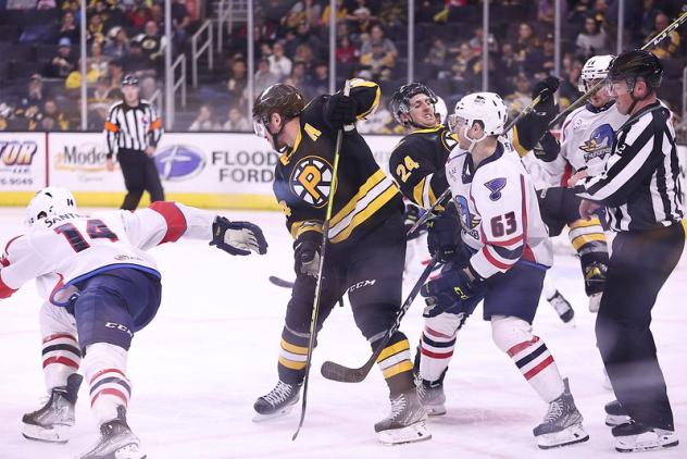 Springfield Thunderbirds take on the Providence Bruins