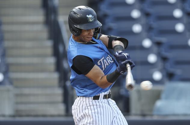 Tampa Tarpons' Nelson Medina in action