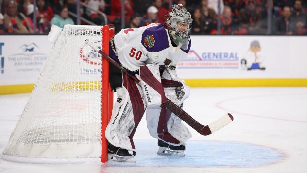 Tucson Roadrunners' Ivan Prosvetov on game night