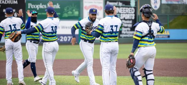 Everett AquaSox celebrate a win