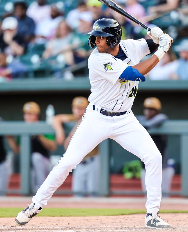Columbia Fireflies' Erick Pena at bat