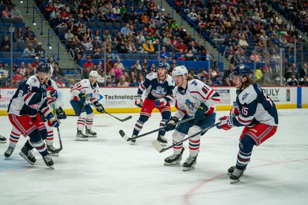 Springfield Thunderbirds battle the Hartford Wolf Pack