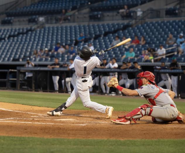 Tampa Tarpons' Brenny Escanio at bat