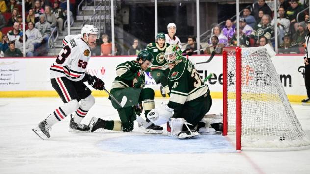 Rockford IceHogs battle the Iowa Wild