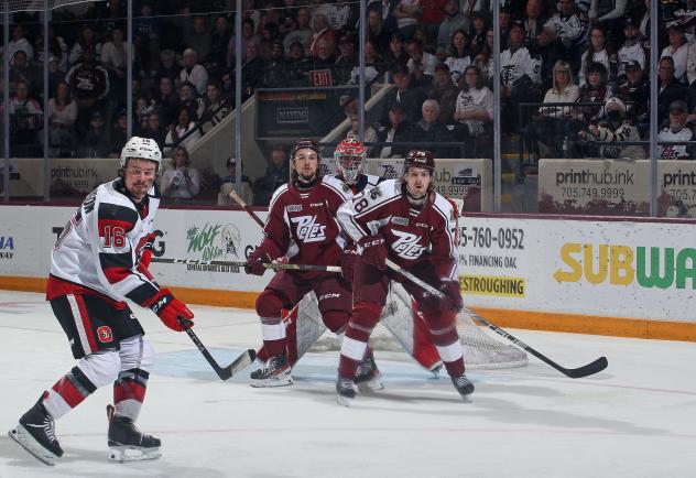 Peterborough Petes defend against the Ottawa 67's