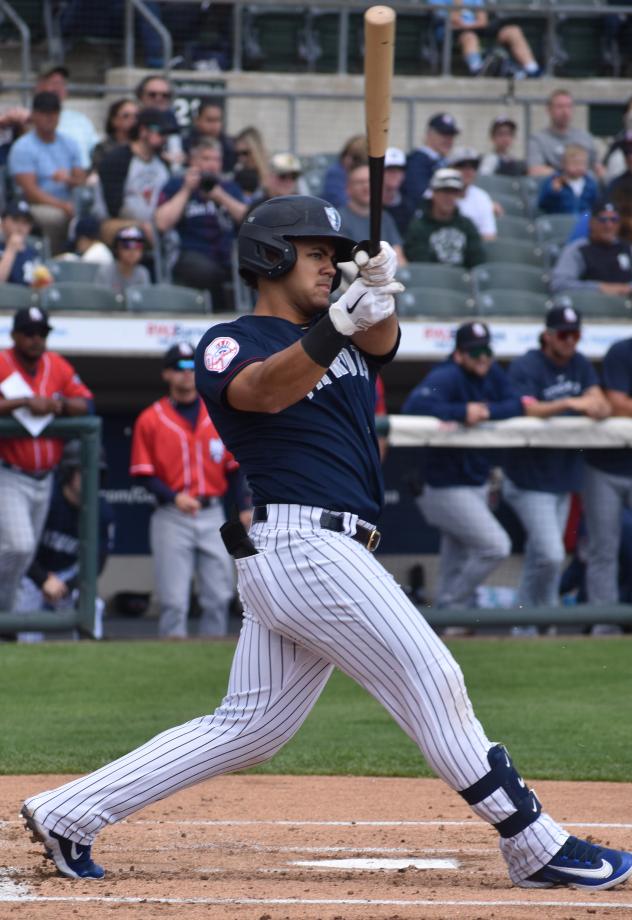 Somerset Patriots' Jasson Dominguez in action