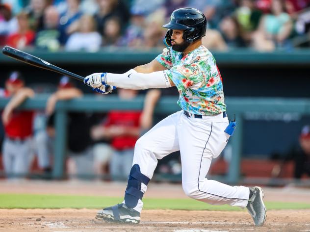 Columbia Fireflies' Jean Ramirez at bat