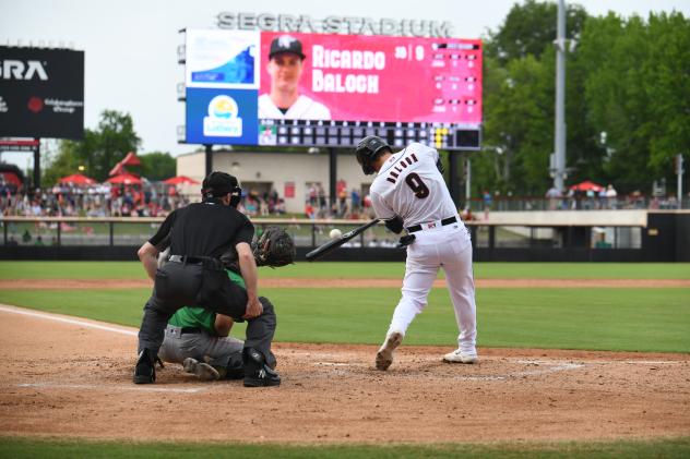 Fayetteville Woodpeckers' Ricardo Balogh at bat