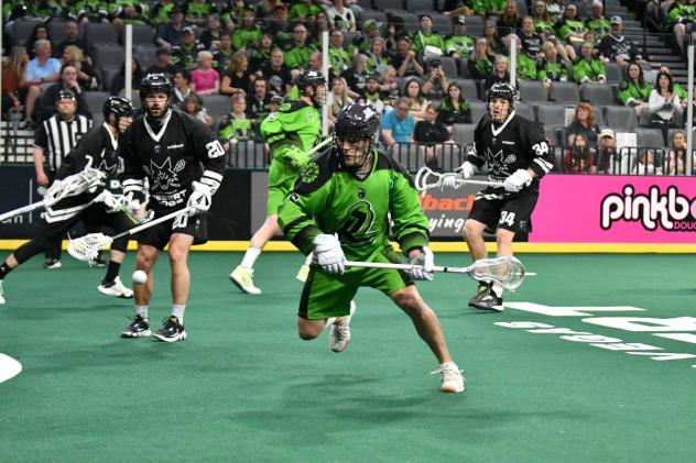 Saskatchewan Rush look for an opening against the Las Vegas Desert Dogs