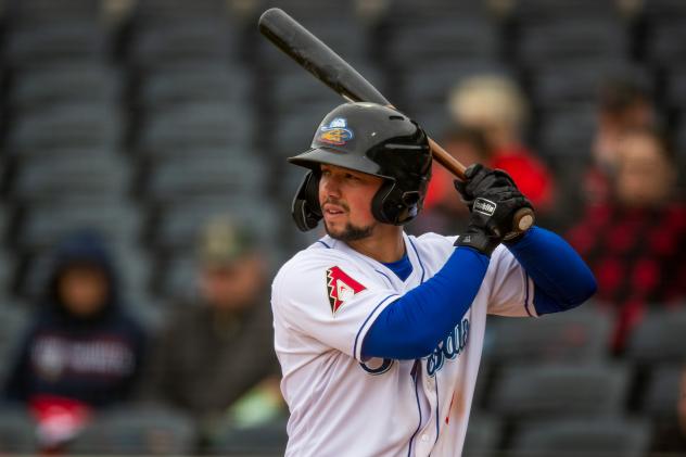 Dominic Fletcher at bat for the Amarillo Sod Poodles