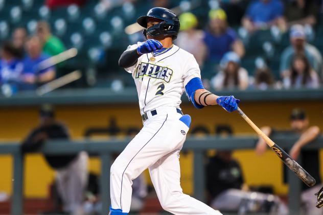 Columbia Fireflies' Daniel Vazquez in action