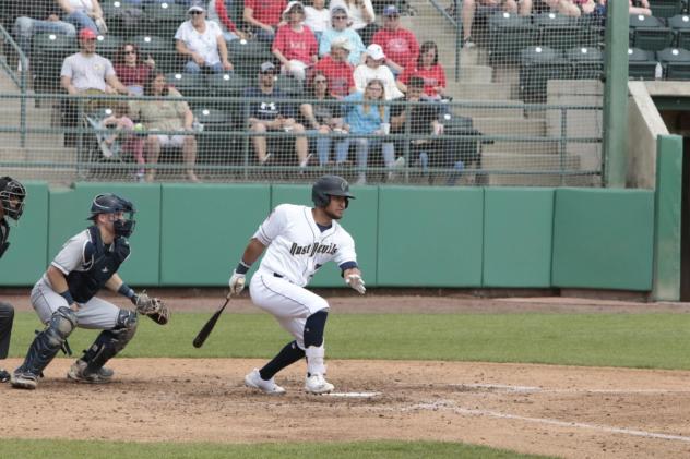 Tri-City Dust Devils at bat