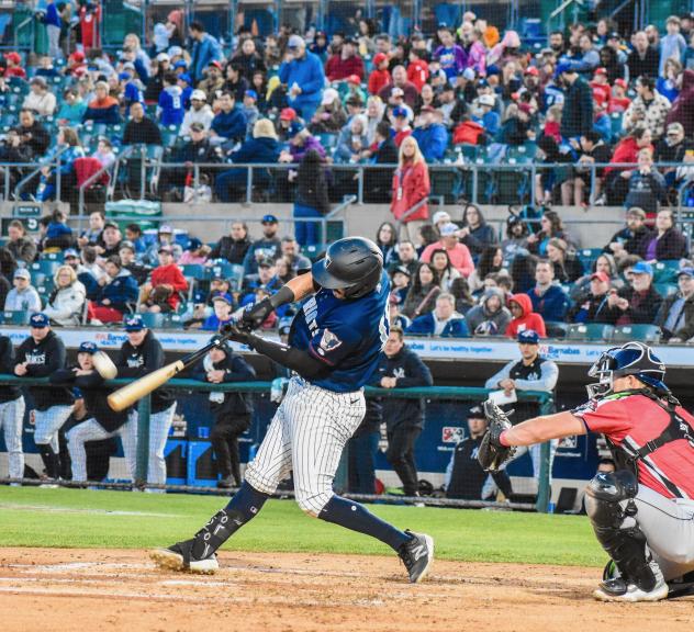 Somerset Patriots' Austin Wells in action