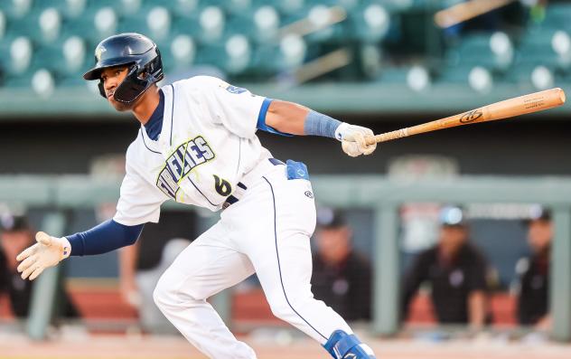 Columbia Fireflies' Brennon McNair in action