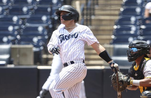 Tampa Tarpons in action