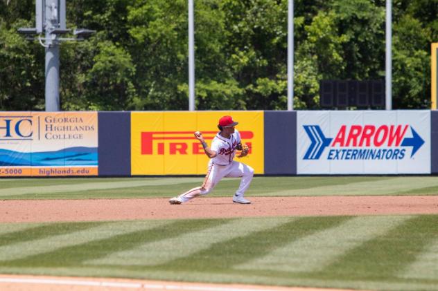 Rome Braves in action