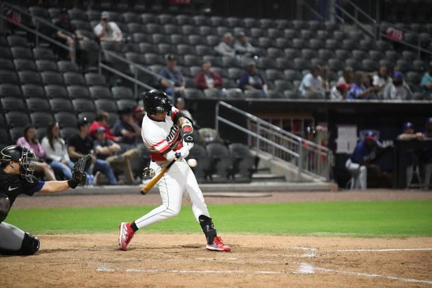 Fayetteville Woodpeckers in action